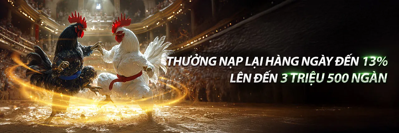 Đá gà trực tuyến kịch tính tại RT88